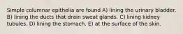 Simple columnar epithelia are found A) lining the urinary bladder. B) lining the ducts that drain sweat glands. C) lining kidney tubules. D) lining the stomach. E) at the surface of the skin.