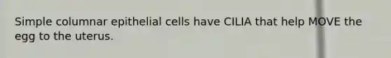 Simple columnar epithelial cells have CILIA that help MOVE the egg to the uterus.