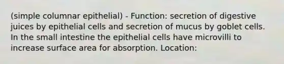 (simple columnar epithelial) - Function: secretion of digestive juices by epithelial cells and secretion of mucus by goblet cells. In the small intestine the epithelial cells have microvilli to increase surface area for absorption. Location: