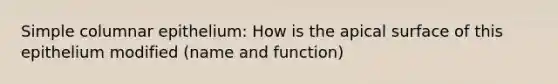 Simple columnar epithelium: How is the apical surface of this epithelium modified (name and function)
