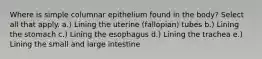 Where is simple columnar epithelium found in the body? Select all that apply. a.) Lining the uterine (fallopian) tubes b.) Lining the stomach c.) Lining the esophagus d.) Lining the trachea e.) Lining the small and large intestine