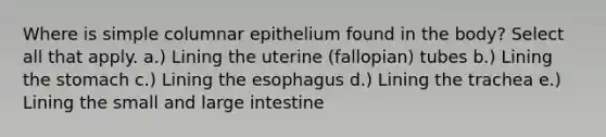 Where is simple columnar epithelium found in the body? Select all that apply. a.) Lining the uterine (fallopian) tubes b.) Lining the stomach c.) Lining the esophagus d.) Lining the trachea e.) Lining the small and large intestine