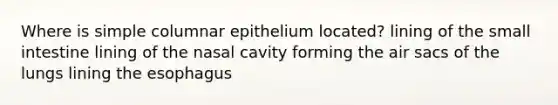 Where is simple columnar epithelium located? lining of the small intestine lining of the nasal cavity forming the air sacs of the lungs lining the esophagus