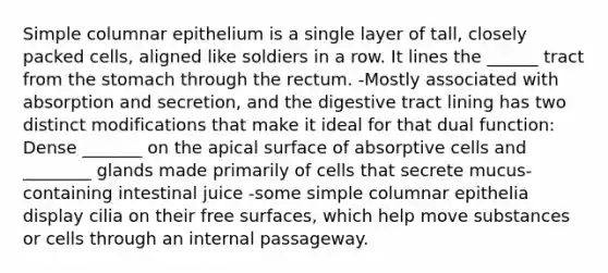 Simple columnar epithelium is a single layer of tall, closely packed cells, aligned like soldiers in a row. It lines the ______ tract from the stomach through the rectum. -Mostly associated with absorption and secretion, and the digestive tract lining has two distinct modifications that make it ideal for that dual function: Dense _______ on the apical surface of absorptive cells and ________ glands made primarily of cells that secrete mucus-containing intestinal juice -some simple columnar epithelia display cilia on their free surfaces, which help move substances or cells through an internal passageway.