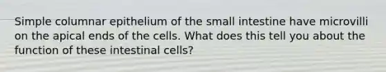 Simple columnar epithelium of <a href='https://www.questionai.com/knowledge/kt623fh5xn-the-small-intestine' class='anchor-knowledge'>the small intestine</a> have microvilli on the apical ends of the cells. What does this tell you about the function of these intestinal cells?