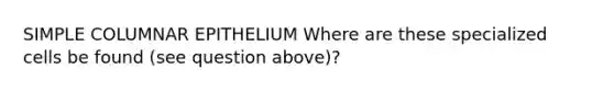 SIMPLE COLUMNAR EPITHELIUM Where are these specialized cells be found (see question above)?