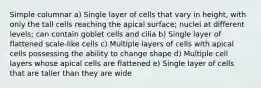 Simple columnar a) Single layer of cells that vary in height, with only the tall cells reaching the apical surface; nuclei at different levels; can contain goblet cells and cilia b) Single layer of flattened scale-like cells c) Multiple layers of cells with apical cells possessing the ability to change shape d) Multiple cell layers whose apical cells are flattened e) Single layer of cells that are taller than they are wide