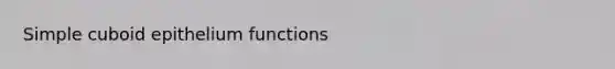 Simple cuboid epithelium functions