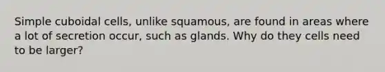 Simple cuboidal cells, unlike squamous, are found in areas where a lot of secretion occur, such as glands. Why do they cells need to be larger?