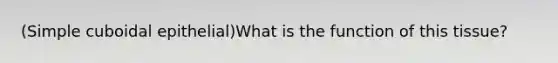 (Simple cuboidal epithelial)What is the function of this tissue?