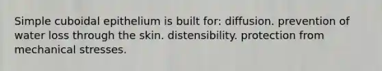 Simple cuboidal epithelium is built for: diffusion. prevention of water loss through the skin. distensibility. protection from mechanical stresses.