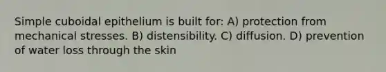 Simple cuboidal epithelium is built for: A) protection from mechanical stresses. B) distensibility. C) diffusion. D) prevention of water loss through the skin