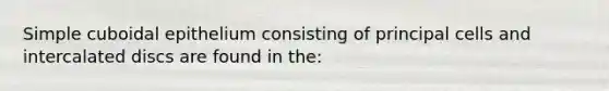 Simple cuboidal epithelium consisting of principal cells and intercalated discs are found in the: