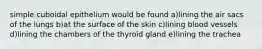 simple cuboidal epithelium would be found a)lining the air sacs of the lungs b)at the surface of the skin c)lining blood vessels d)lining the chambers of the thyroid gland e)lining the trachea