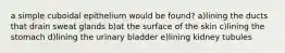 a simple cuboidal epithelium would be found? a)lining the ducts that drain sweat glands b)at the surface of the skin c)lining the stomach d)lining the urinary bladder e)lining kidney tubules