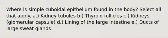 Where is simple cuboidal epithelium found in the body? Select all that apply. a.) Kidney tubules b.) Thyroid follicles c.) Kidneys (glomerular capsule) d.) Lining of the large intestine e.) Ducts of large sweat glands