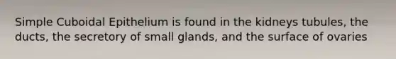 Simple Cuboidal Epithelium is found in the kidneys tubules, the ducts, the secretory of small glands, and the surface of ovaries