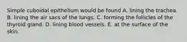 Simple cuboidal epithelium would be found A. lining the trachea. B. lining the air sacs of the lungs. C. forming the follicles of the thyroid gland. D. lining blood vessels. E. at the surface of the skin.