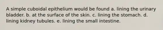 A simple cuboidal epithelium would be found a. lining the urinary bladder. b. at the surface of the skin. c. lining the stomach. d. lining kidney tubules. e. lining the small intestine.