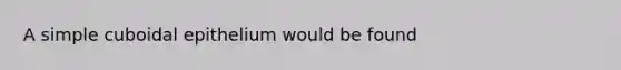 A simple cuboidal epithelium would be found