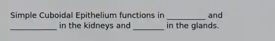 Simple Cuboidal Epithelium functions in __________ and ____________ in the kidneys and ________ in the glands.