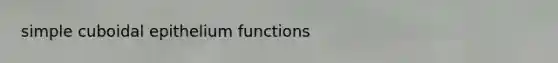 simple cuboidal epithelium functions