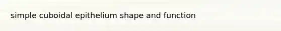 simple cuboidal epithelium shape and function