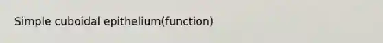 Simple cuboidal epithelium(function)