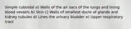 Simple cuboidal a) Walls of the air sacs of the lungs and lining blood vessels b) Skin c) Walls of smallest ducts of glands and kidney tubules d) Lines the urinary bladder e) Upper respiratory tract