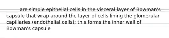 _____ are simple epithelial cells in the visceral layer of Bowman's capsule that wrap around the layer of cells lining the glomerular capillaries (endothelial cells); this forms the inner wall of Bowman's capsule