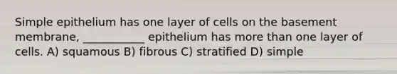 Simple epithelium has one layer of cells on the basement membrane, ___________ epithelium has <a href='https://www.questionai.com/knowledge/keWHlEPx42-more-than' class='anchor-knowledge'>more than</a> one layer of cells. A) squamous B) fibrous C) stratified D) simple