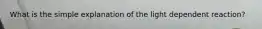 What is the simple explanation of the light dependent reaction?