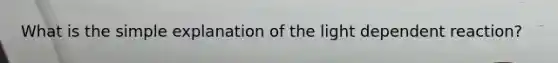 What is the simple explanation of the light dependent reaction?