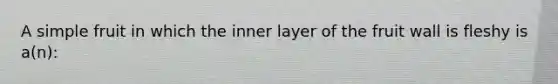 A simple fruit in which the inner layer of the fruit wall is fleshy is a(n):