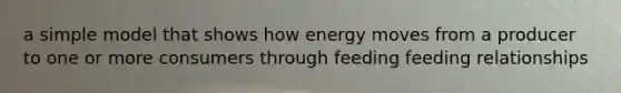 a simple model that shows how energy moves from a producer to one or more consumers through feeding feeding relationships