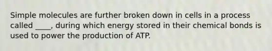 Simple molecules are further broken down in cells in a process called ____, during which energy stored in their chemical bonds is used to power the production of ATP.