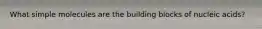 What simple molecules are the building blocks of nucleic acids?