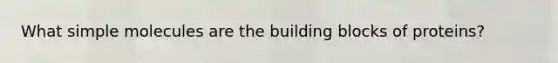 What simple molecules are the building blocks of proteins?