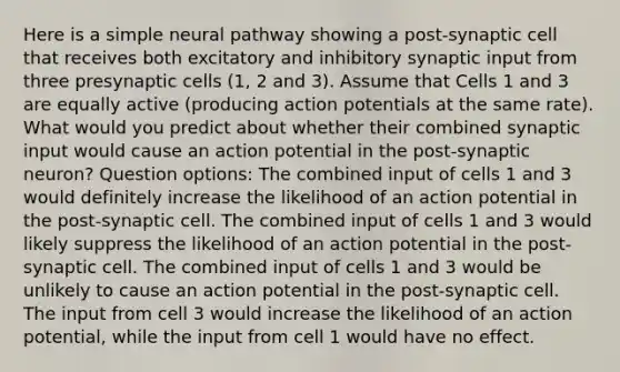 Here is a simple neural pathway showing a post-synaptic cell that receives both excitatory and inhibitory synaptic input from three presynaptic cells (1, 2 and 3). Assume that Cells 1 and 3 are equally active (producing action potentials at the same rate). What would you predict about whether their combined synaptic input would cause an action potential in the post-synaptic neuron? Question options: The combined input of cells 1 and 3 would definitely increase the likelihood of an action potential in the post-synaptic cell. The combined input of cells 1 and 3 would likely suppress the likelihood of an action potential in the post-synaptic cell. The combined input of cells 1 and 3 would be unlikely to cause an action potential in the post-synaptic cell. The input from cell 3 would increase the likelihood of an action potential, while the input from cell 1 would have no effect.