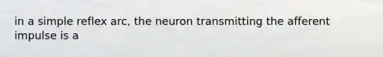 in a simple reflex arc, the neuron transmitting the afferent impulse is a