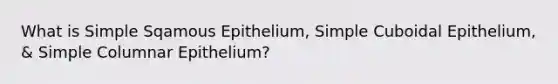 What is Simple Sqamous Epithelium, Simple Cuboidal Epithelium, & Simple Columnar Epithelium?