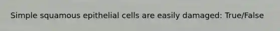 Simple squamous epithelial cells are easily damaged: True/False