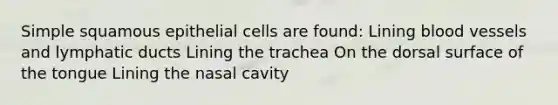 Simple squamous epithelial cells are found: Lining blood vessels and lymphatic ducts Lining the trachea On the dorsal surface of the tongue Lining the nasal cavity