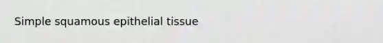 Simple squamous <a href='https://www.questionai.com/knowledge/k7dms5lrVY-epithelial-tissue' class='anchor-knowledge'>epithelial tissue</a>