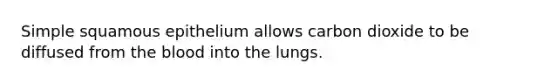 Simple squamous epithelium allows carbon dioxide to be diffused from the blood into the lungs.