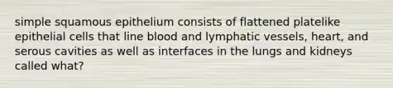 simple squamous epithelium consists of flattened platelike epithelial cells that line blood and lymphatic vessels, heart, and serous cavities as well as interfaces in the lungs and kidneys called what?