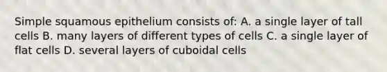 Simple squamous epithelium consists of: A. a single layer of tall cells B. many layers of different types of cells C. a single layer of flat cells D. several layers of cuboidal cells