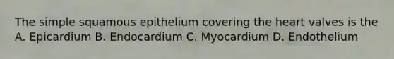 The simple squamous epithelium covering the heart valves is the A. Epicardium B. Endocardium C. Myocardium D. Endothelium