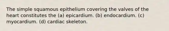 The simple squamous epithelium covering the valves of the heart constitutes the (a) epicardium. (b) endocardium. (c) myocardium. (d) cardiac skeleton.