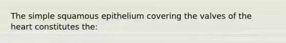 The simple squamous epithelium covering the valves of the heart constitutes the: